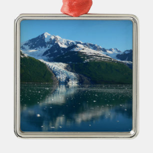 College Fjord II Beauful Alaska Fotografie Metalen Ornament