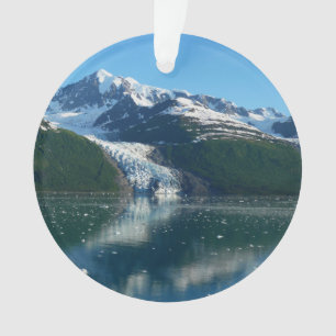 College Fjord II Mooie Alaska Fotografie Ornament