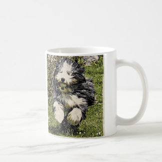 Colley barbu sur la tasse de course
