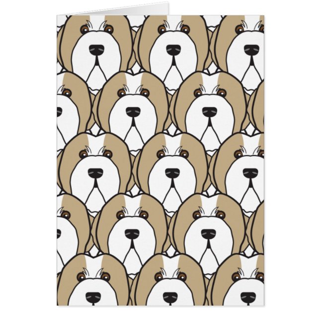 Colleys barbus (Devant)