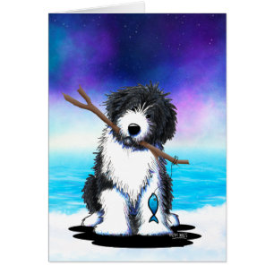 Collie barbu pêche