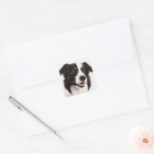 Collie Bordure Noire Et Blanc Stickers Chien Chien (Enveloppe)