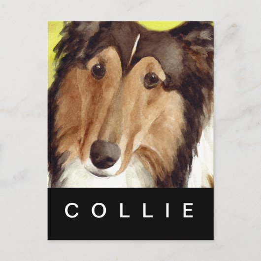 Collie Briefkaart (Voorkant)
