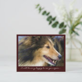 Collie Briefkaarten (Staand voorkant)