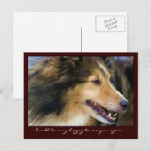 Collie Briefkaarten (Voorkant / Achterkant)