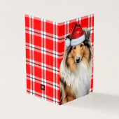 Collie Chien avec Holiday Red Plaid Noël (Outside)