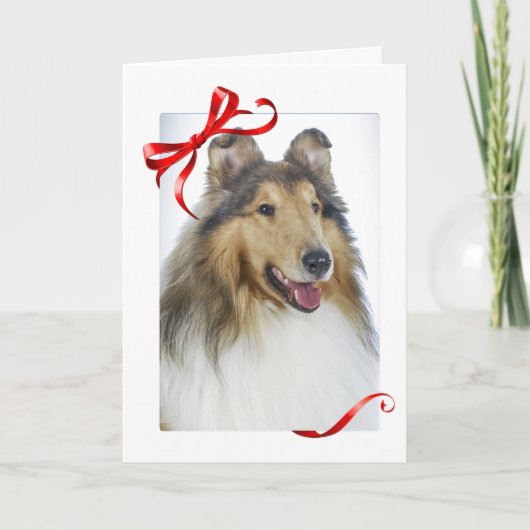 Collie Christmas Kaarten (Voorkant)