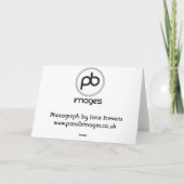 Collie Cross Feestdagen Kaart (Achterkant)