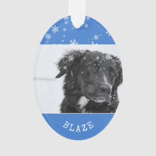 Collie de Border Noël Photo de Chien Personnalisée