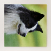 Collie Dog aan de zwarte en witte rand Legpuzzel (Horizontaal)