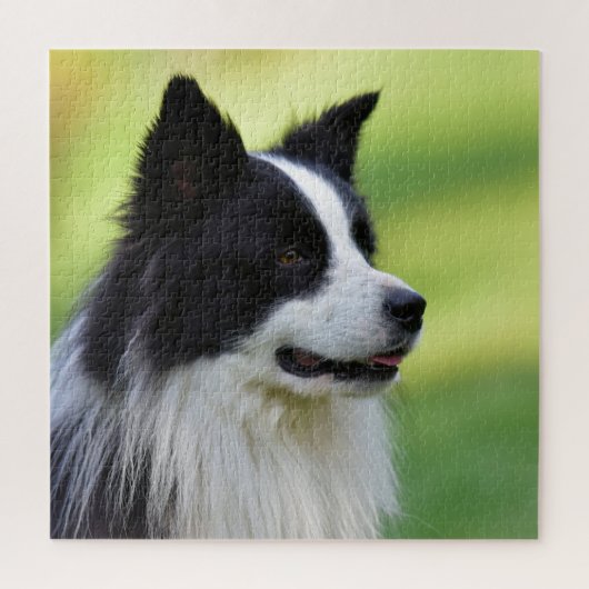 Collie Dog aan de zwarte en witte rand Legpuzzel (Verticaal)