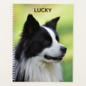 Collie Dog aan de zwarte en witte rand Planner (Voorkant)