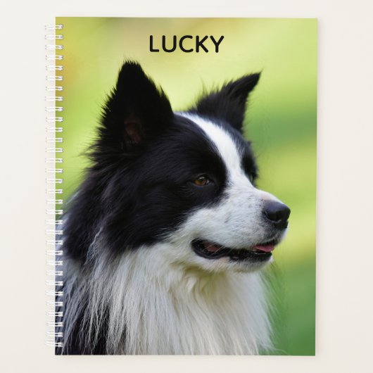 Collie Dog aan de zwarte en witte rand Planner (Voorkant)
