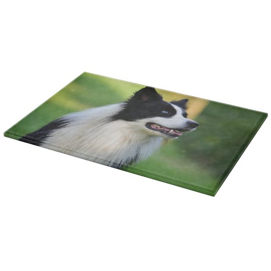 Collie Dog aan de zwarte en witte rand Snijplank (Hoek)