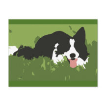 Collie Dog Briefkaart