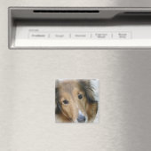Collie Dog Carré Magnet (In Situ (Lave-vaisselle))