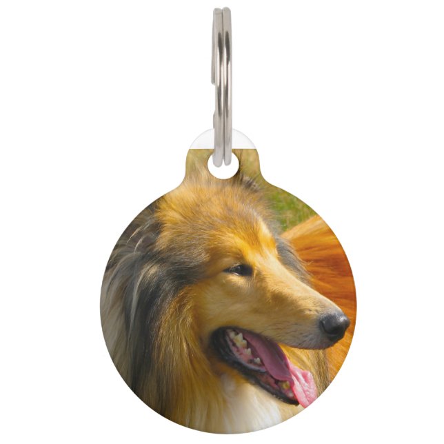 Collie Dog. Huisdierpenning (Voorkant)