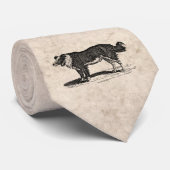  Collie Dog Illustratie van de Grens van 1800s Stropdas (Opgerold)