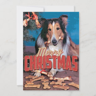 Collie Dog Kerstmis Kaart