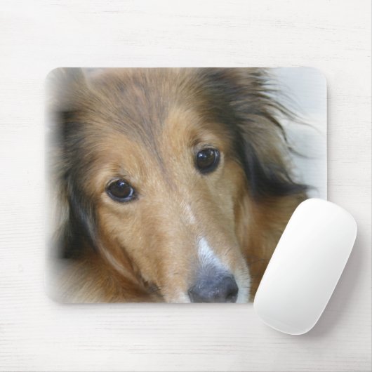 Collie Dog Muismat (Met muis)
