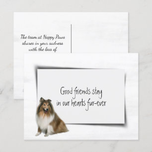 Collie Dog Pet Sympathie Verlies Briefkaart