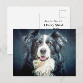Collie Dog-portret aan de rand Briefkaart (Voorkant / Achterkant)