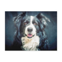 Collie Dog-portret aan de rand