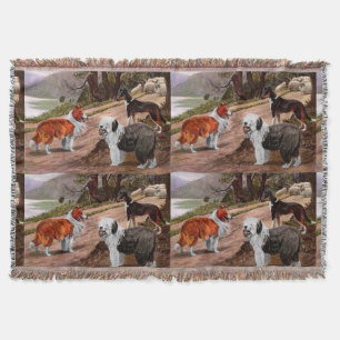 Collie Dog Trio Deken