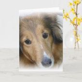 Collie Dog Wenskaart Kaart (Gele Bloem)