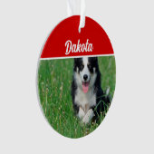 Collie frontalier avec nom et photo Noël (devant)