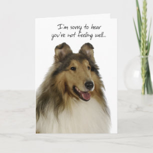 Collie Get Well Card Kaart