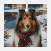 Collie Holiday Glas Ornament (Achterkant)