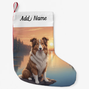 Collie Hond Kleine Kerstsok