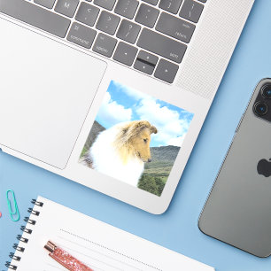 Collie in bergen (ruw) Schilderen - Dog Art Sticker