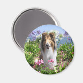 Collie in Bloemen Magnet Magneet (Voorkant / Achterkant)