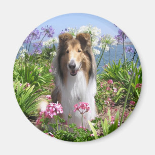 Collie in Bloemen Magnet Magneet