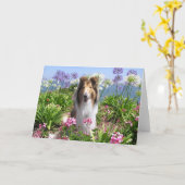 Collie in de Kaart van Bloemen (Gele Bloem)