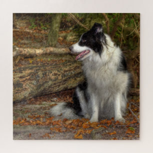 Collie in het bos 676 stukjes legpuzzel
