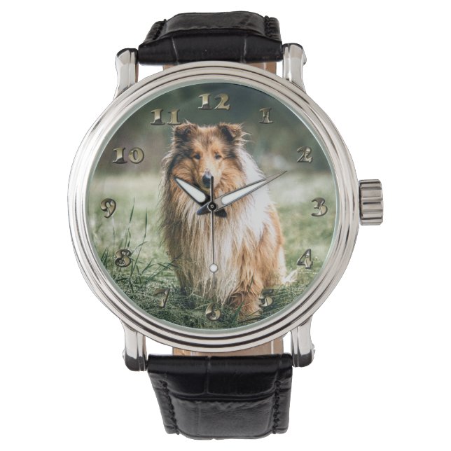 Collie in het Rough Grassland Horloge (Voorkant)