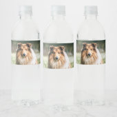 Collie in het Rough Grassland Waterfles Etiket (Flessen)