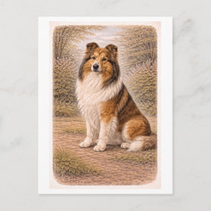 Collie in vintage stijl briefkaart