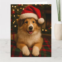 Collie Kerstkaart