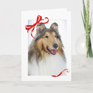 Collie kerstkaarten feestdagen kaart