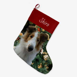 Collie Kerstkous Grote Kerstsok