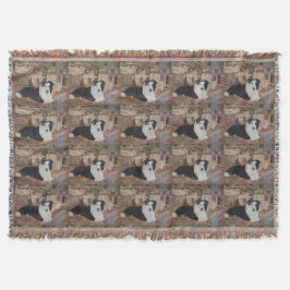 collie kippen in het stamboek : hondportret deken