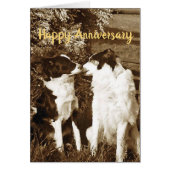 Collie kiss Jubileum card (Voorkant)