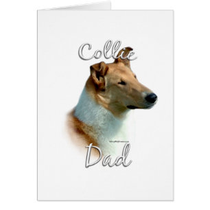 Collie (lisse) Papa 2