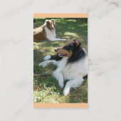 Collie Lovers Carte de visite 2 (Dos)