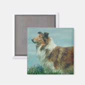 Collie Magneet (Voorkant / Achterkant)