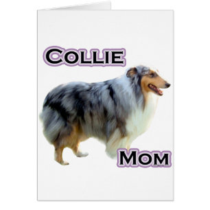 Collie Maman 4